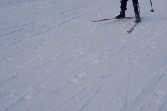 RFKtMV_nnoM
