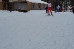 113_0602022